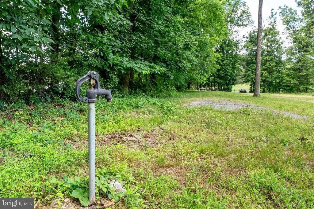 8905 Shade Tree Lane photo 73