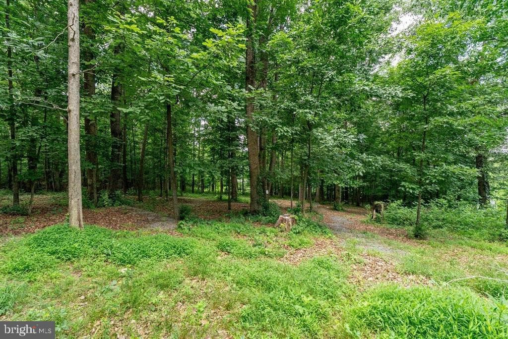 8905 Shade Tree Lane photo 74
