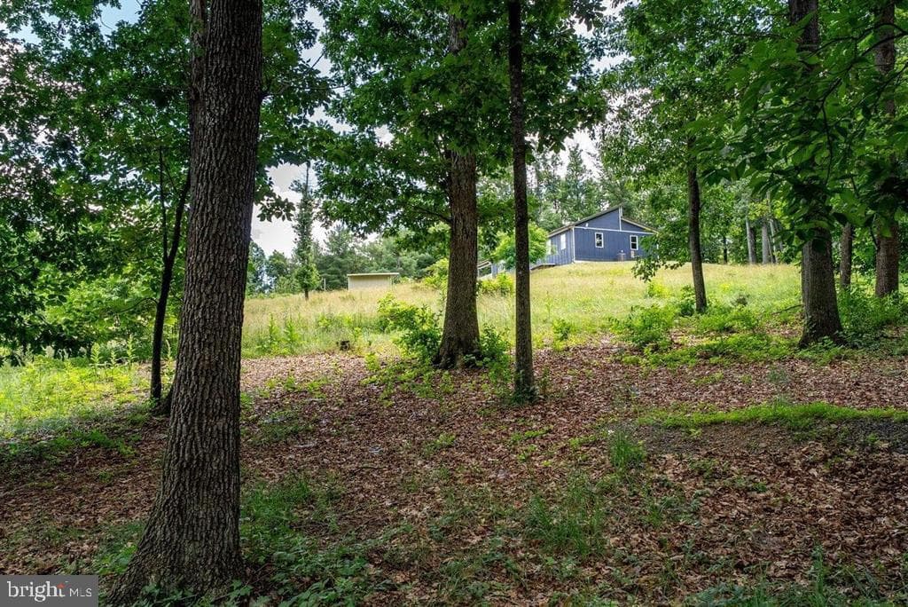 8905 Shade Tree Lane photo 75