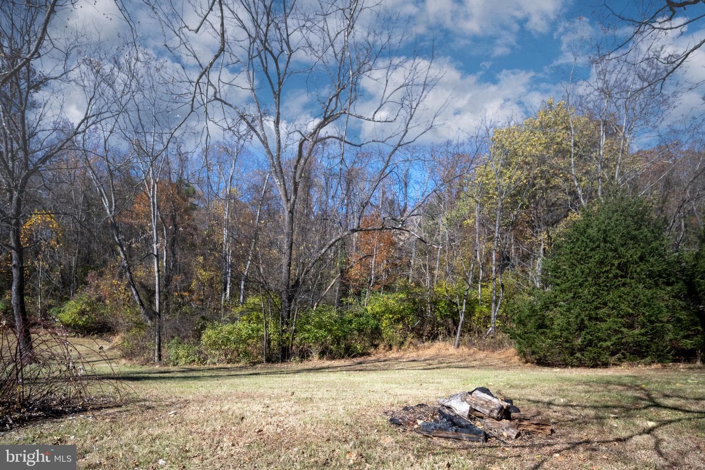 560 Richmond Road photo 121