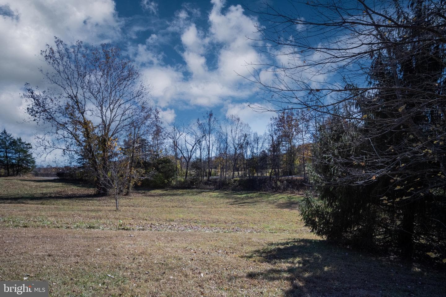 560 Richmond Road photo 126
