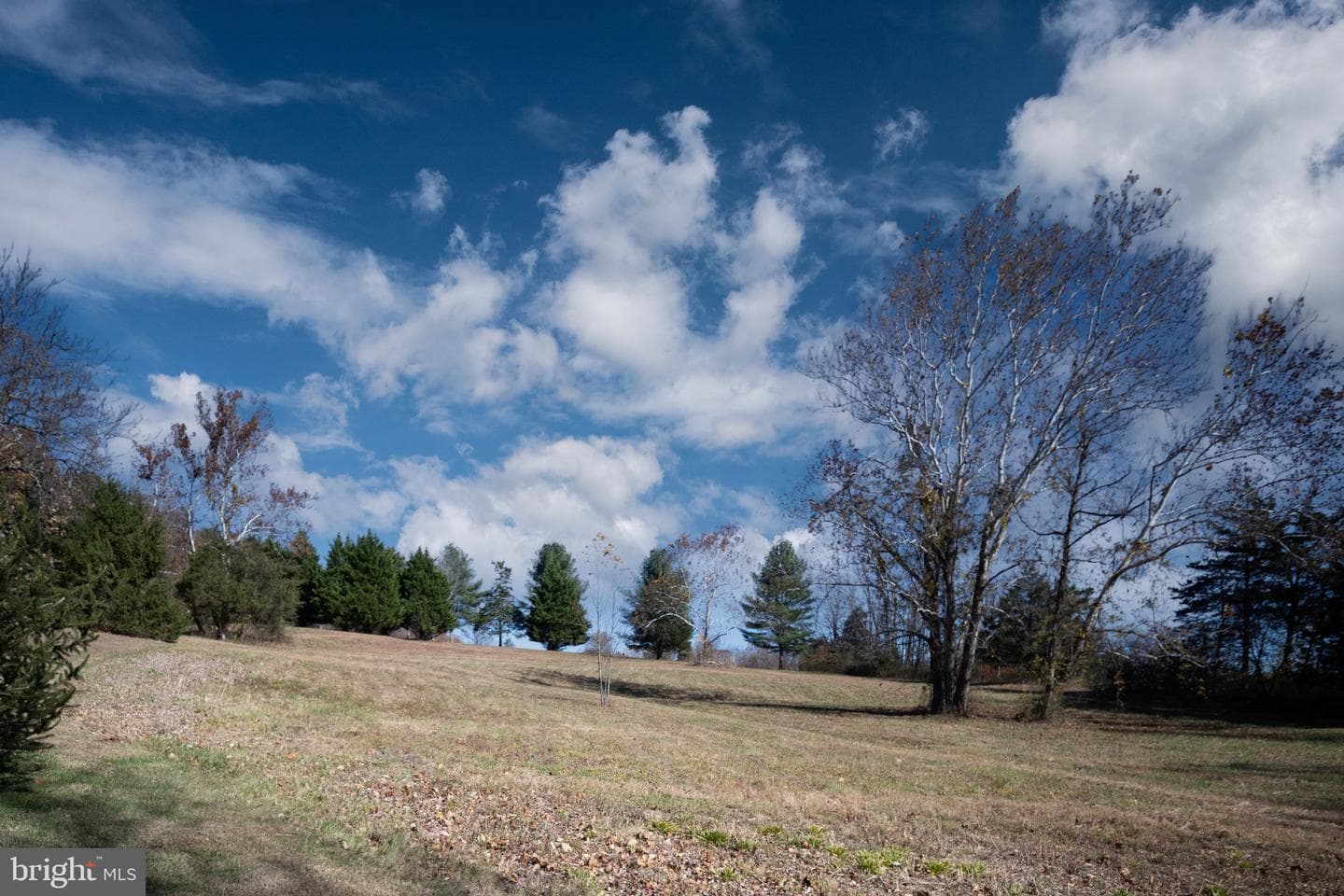 560 Richmond Road photo 139