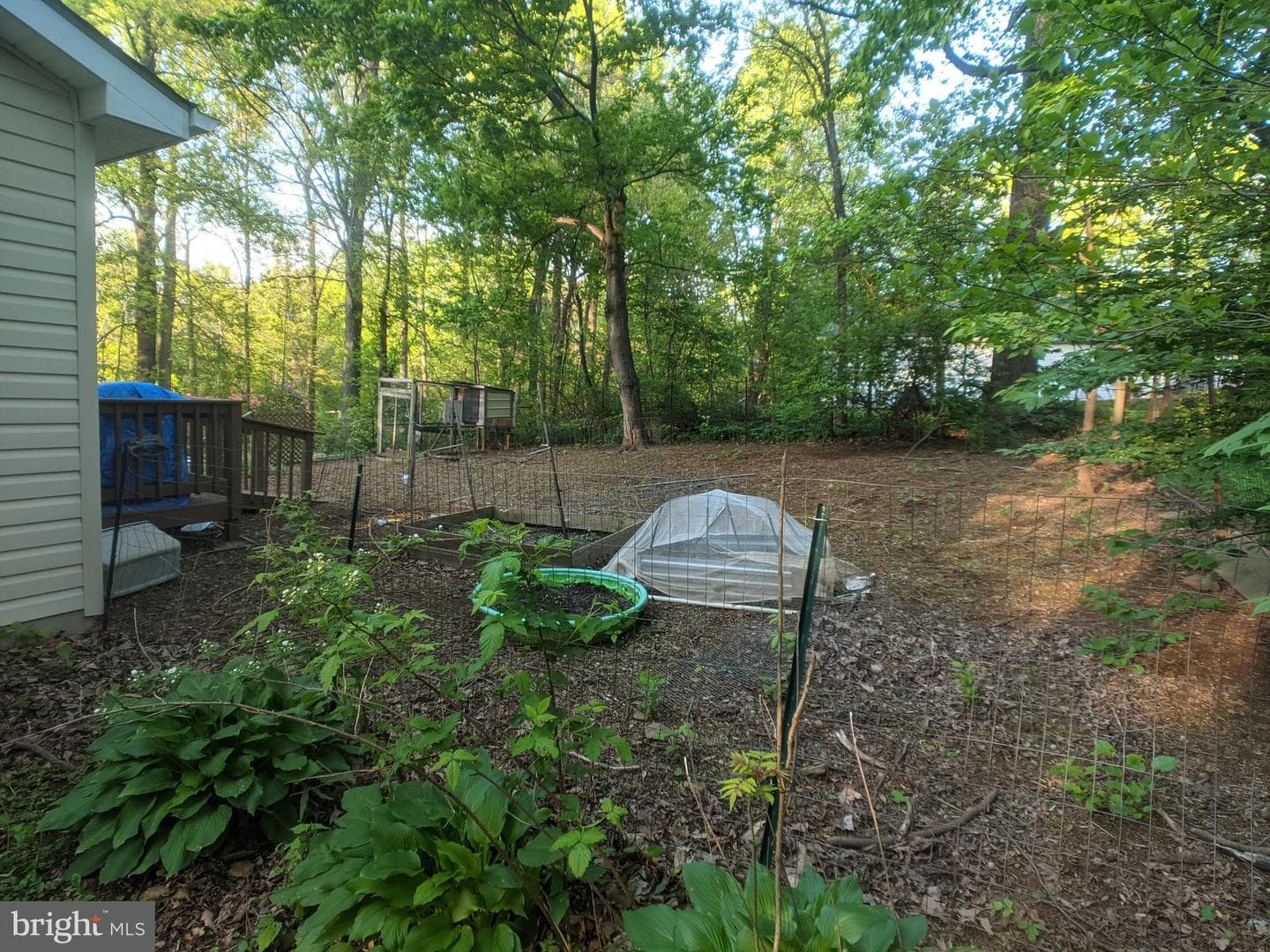 144 Hunter Avenue photo 19