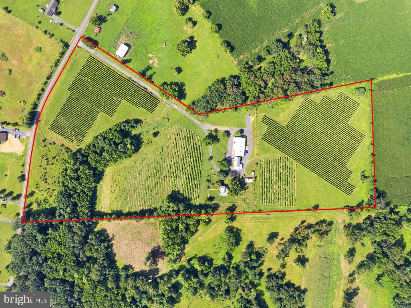 3659 S Ox Road photo 5
