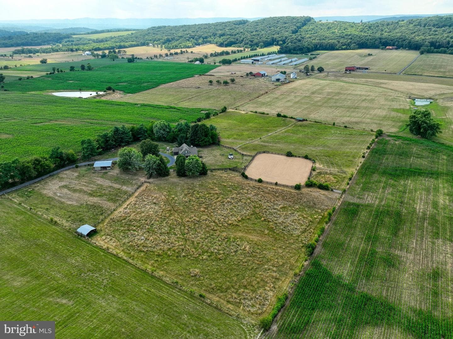 1615 Pleasant View Road photo 114