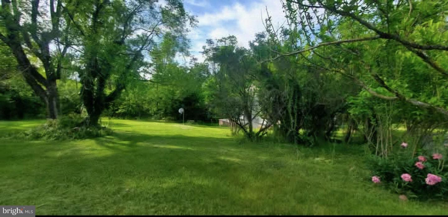 769 S Water Street photo 7