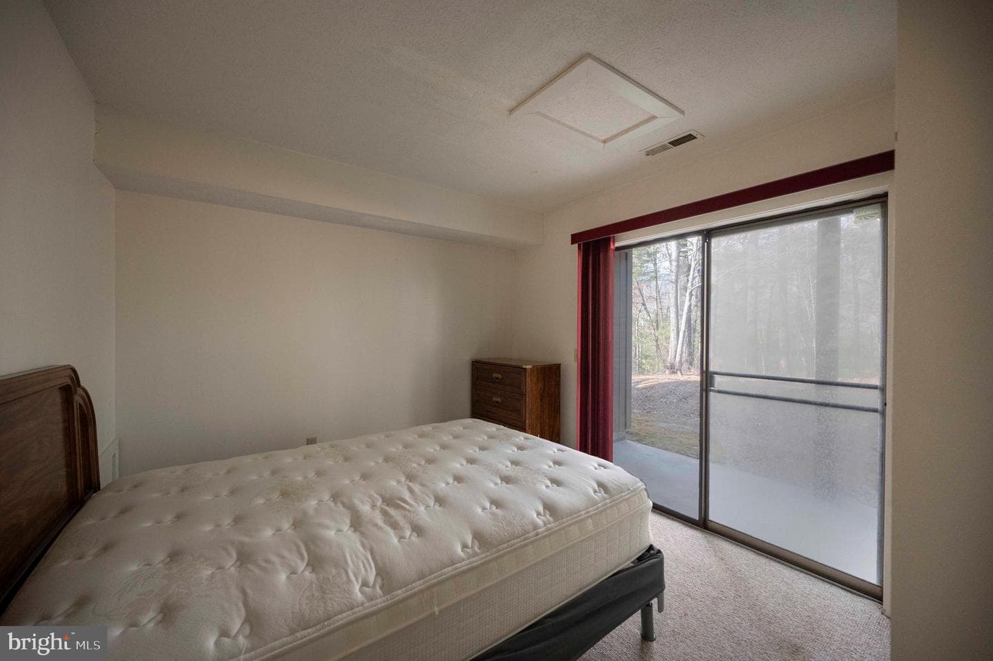 377 Spitz #100 A&b photo 17