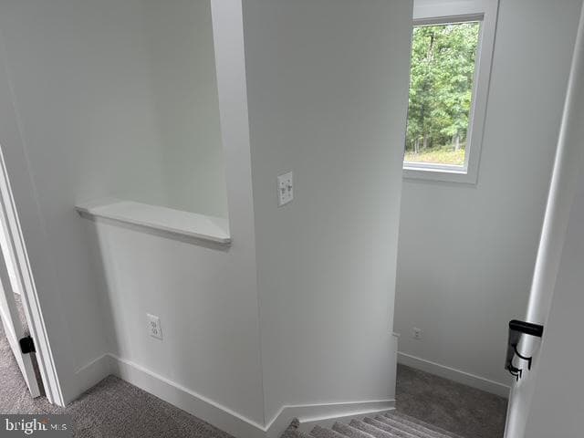 64 Elm Court photo 15