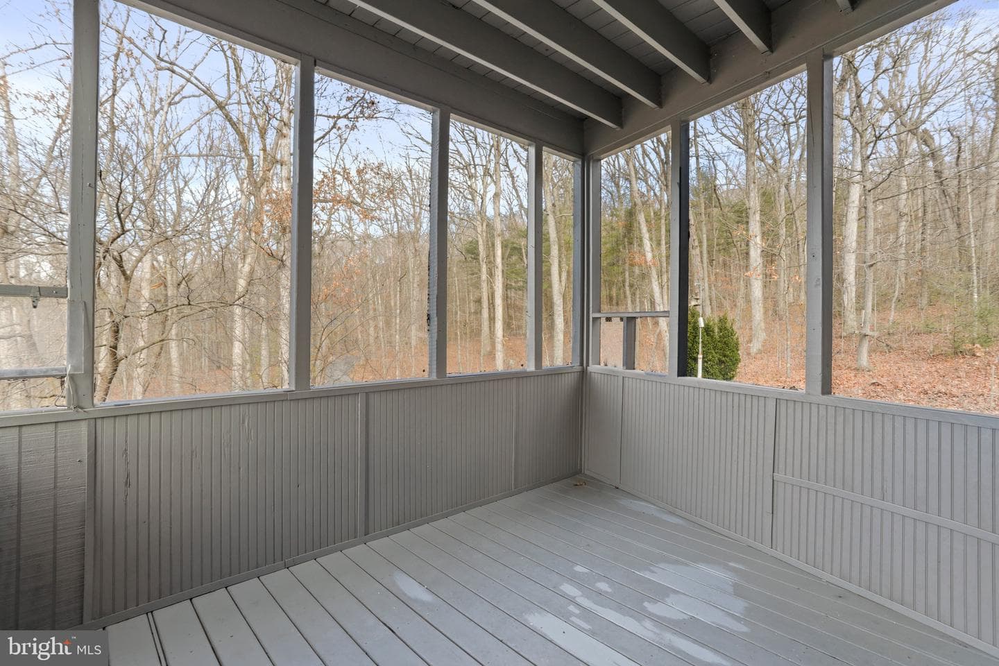 308 Brush Leaf Lane photo 12