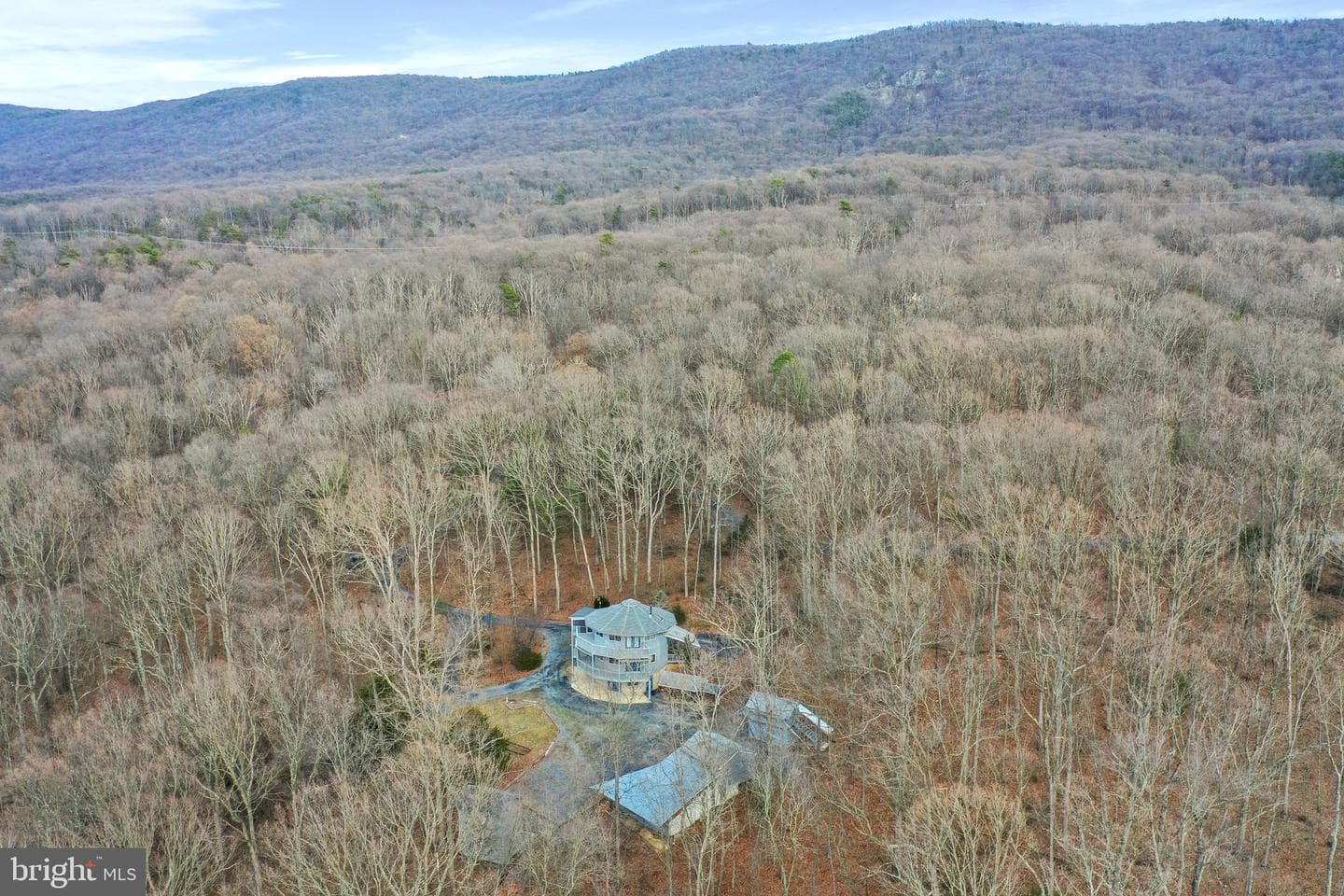 308 Brush Leaf Lane photo 50