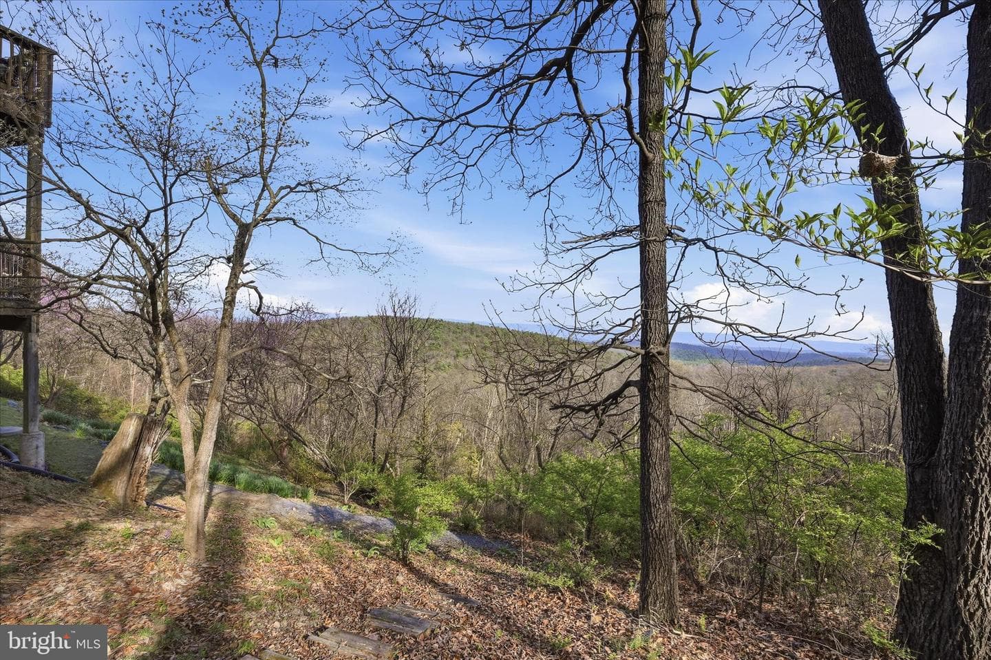 2152 Supinlick Ridge photo 77