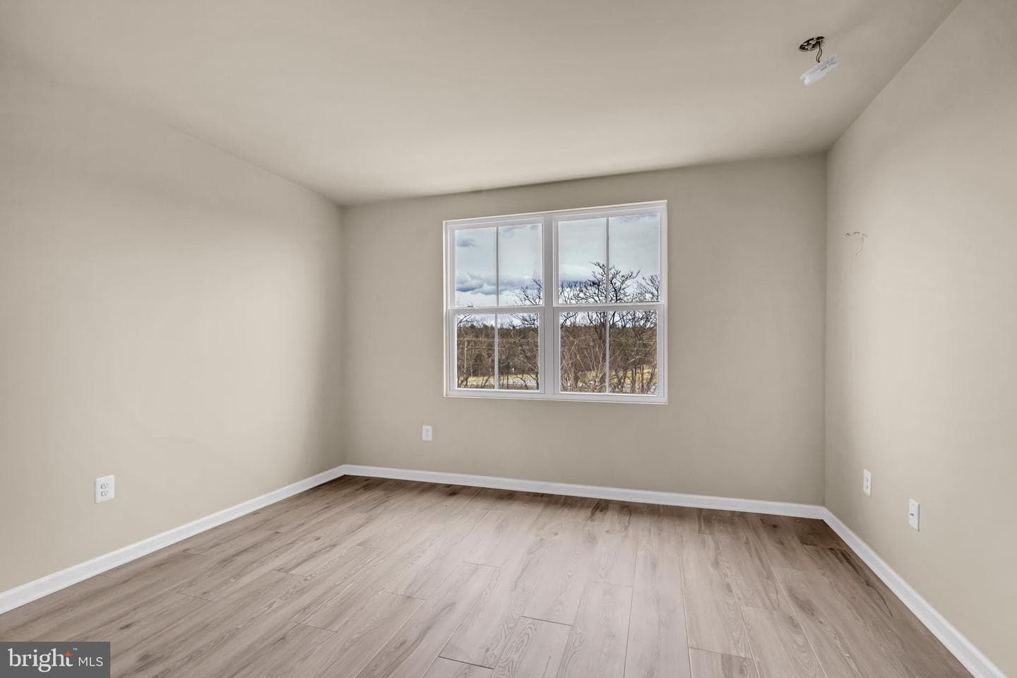 307 Williams Street photo 22