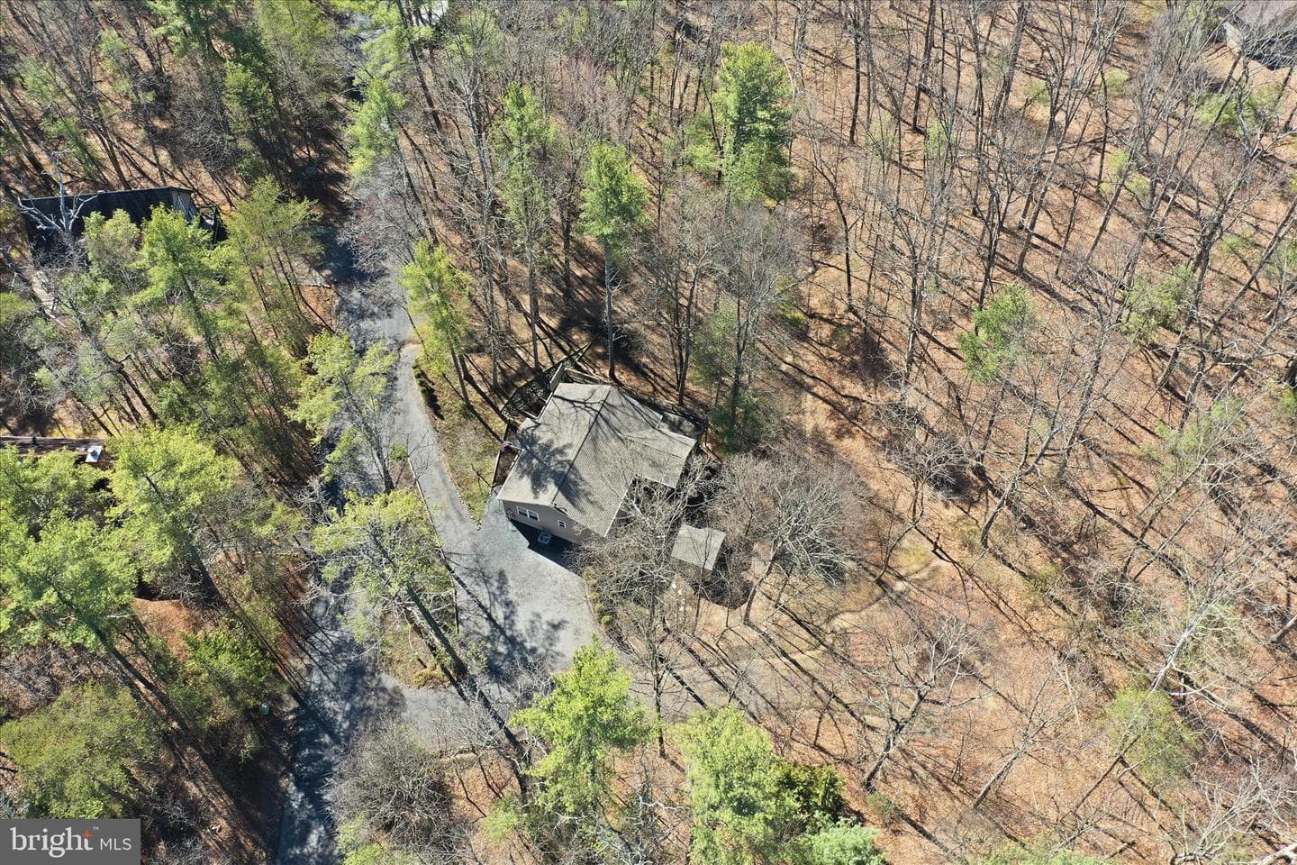 247 Dogwood Drive photo 52