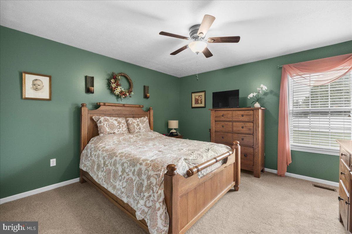 36 Ellen Drive photo 10