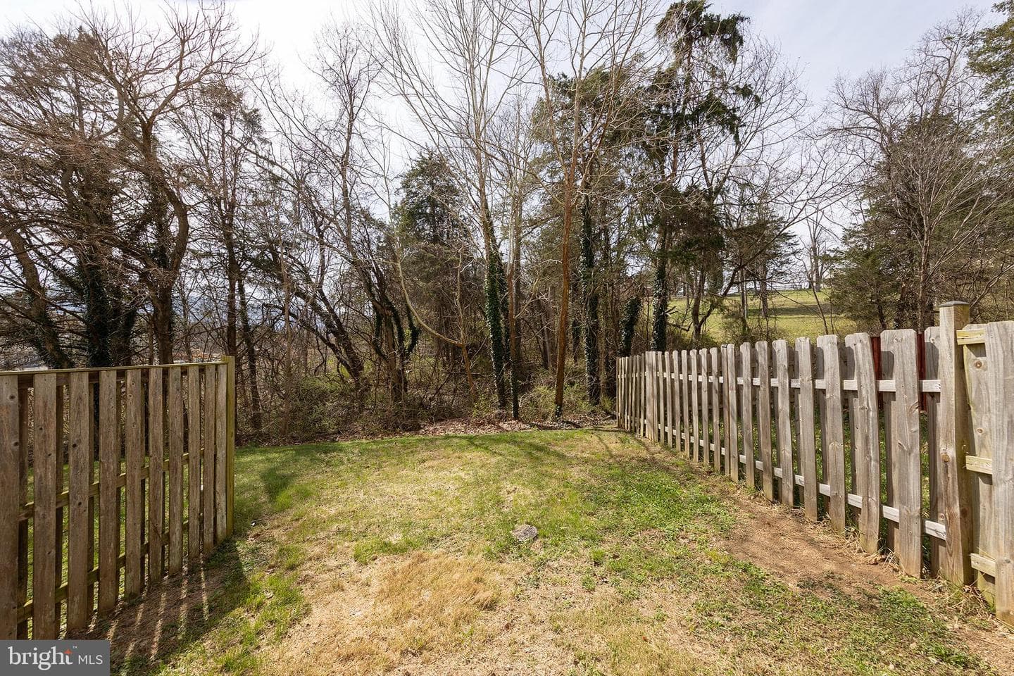 1010 Pendleton Lane photo 10