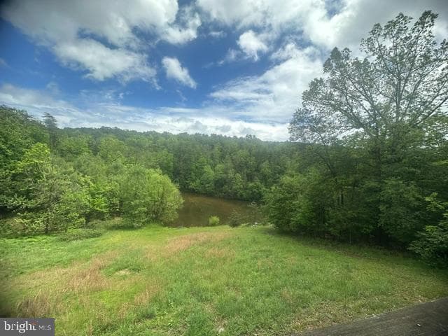 431 Holly Ridge Road photo 17