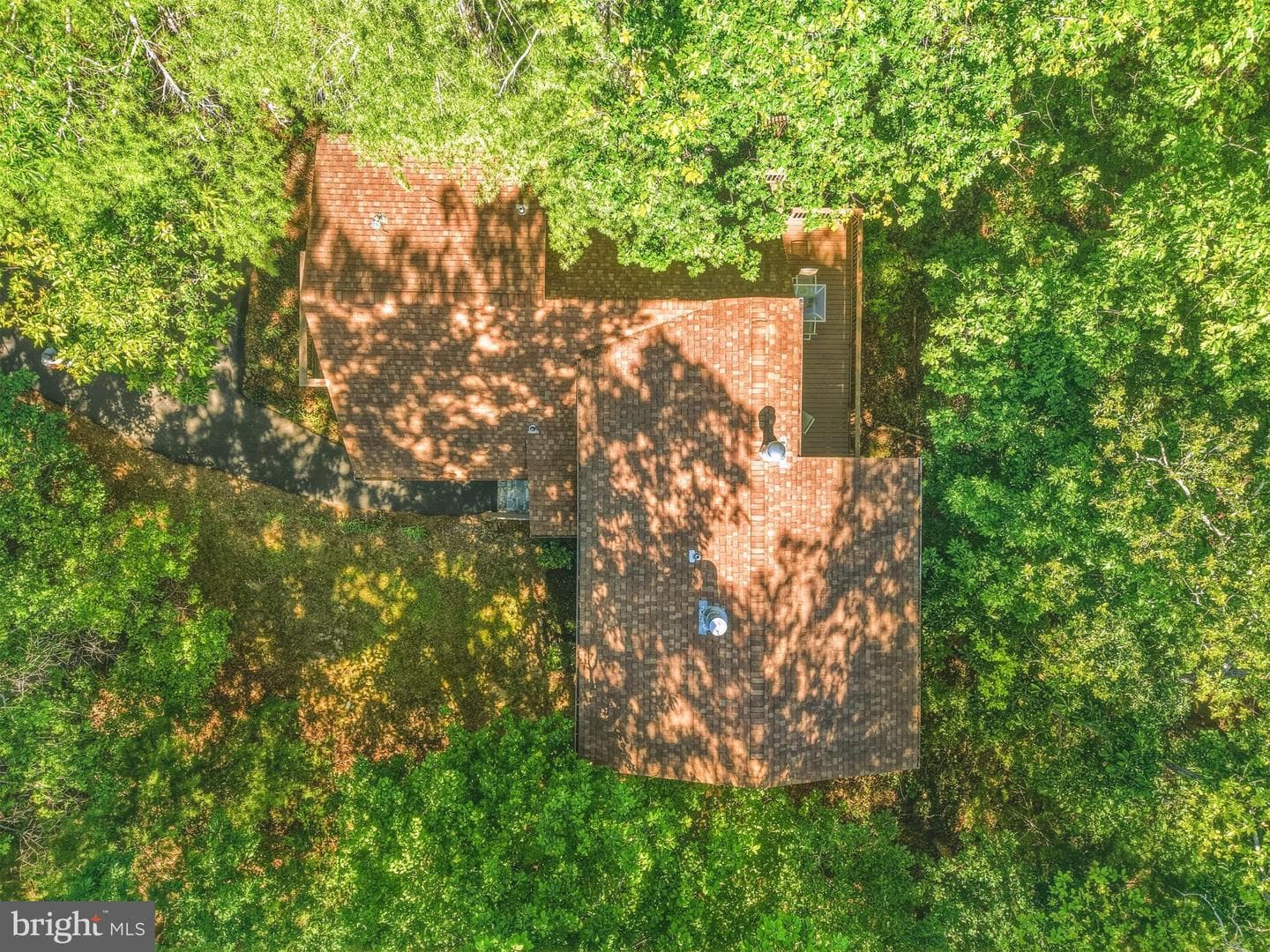 309 Locust Lane photo 12