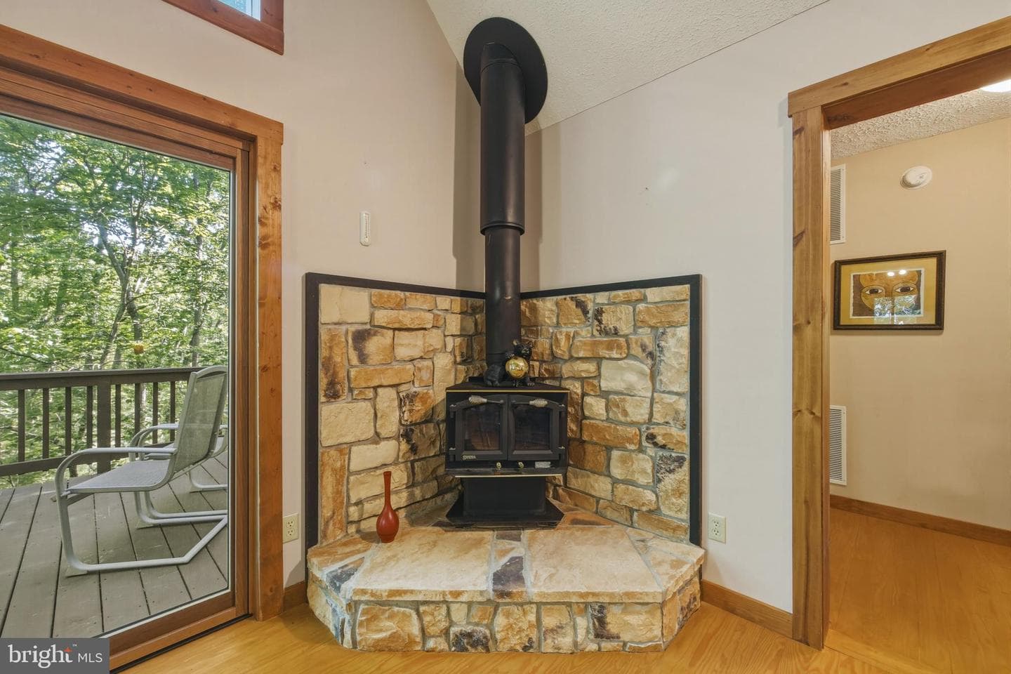 309 Locust Lane photo 19