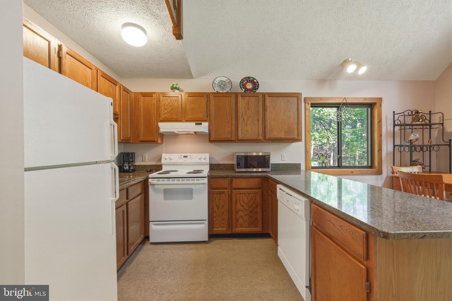 309 Locust Lane photo 21