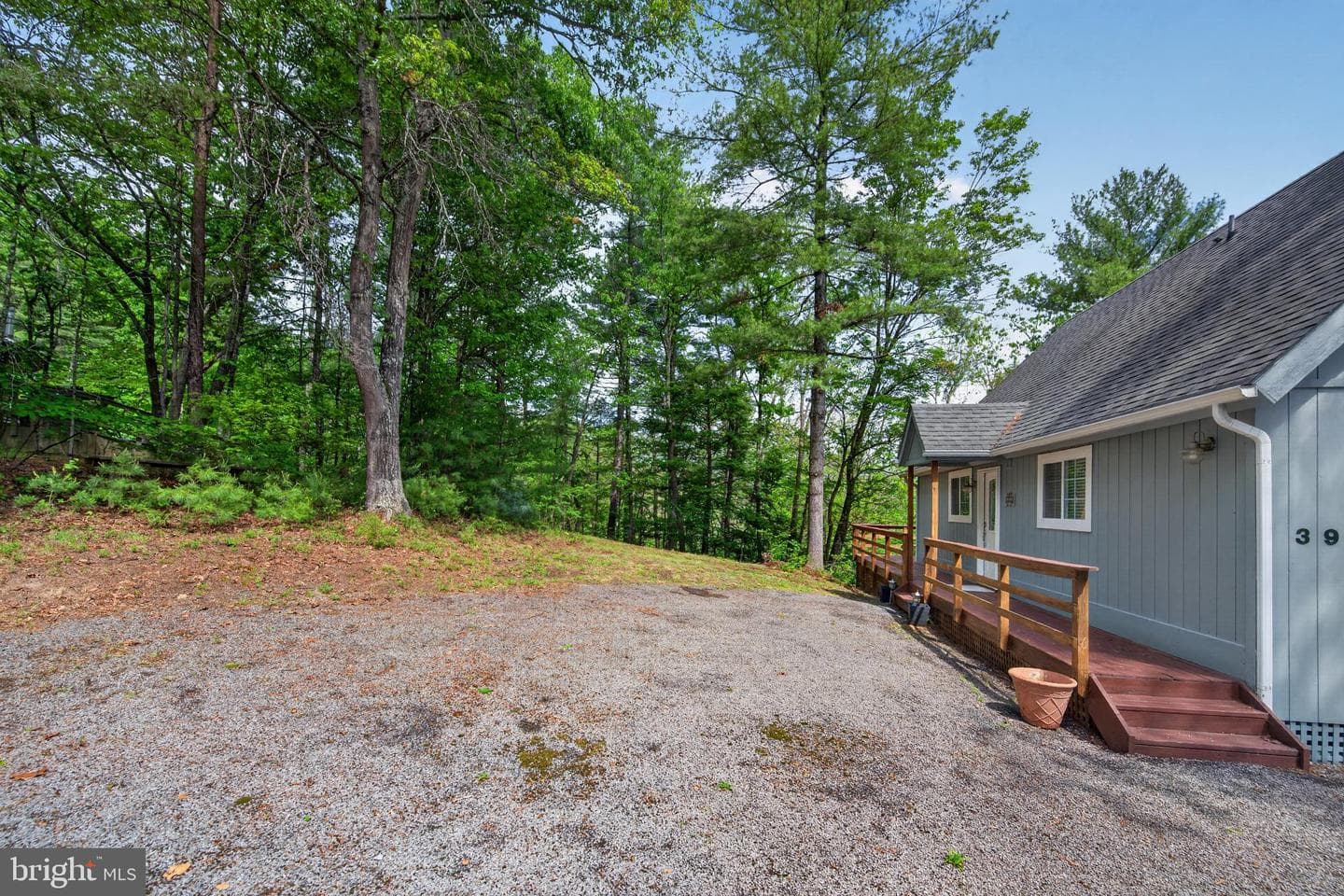 393 Palmer photo 4
