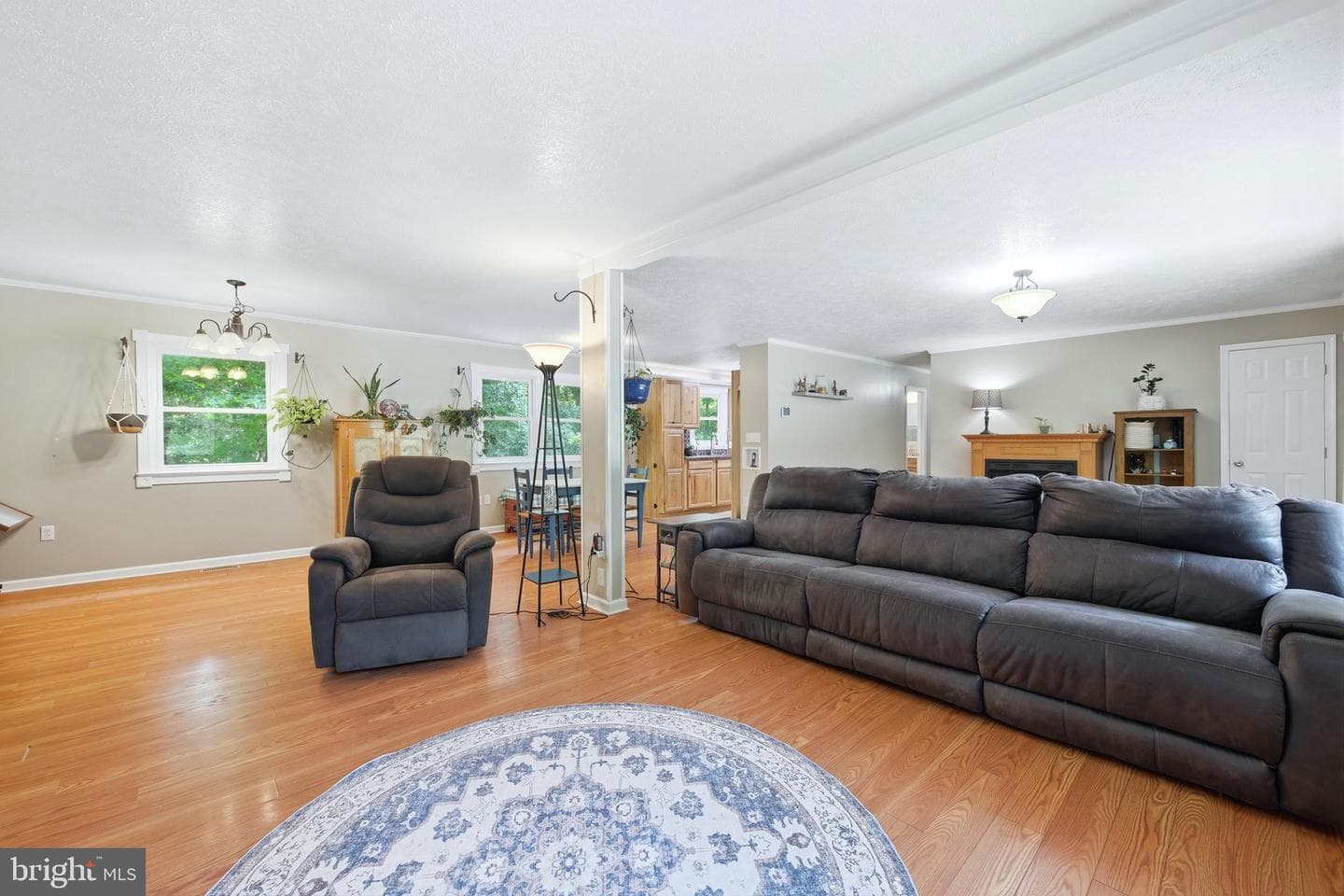 356 White Oak Ln photo 17