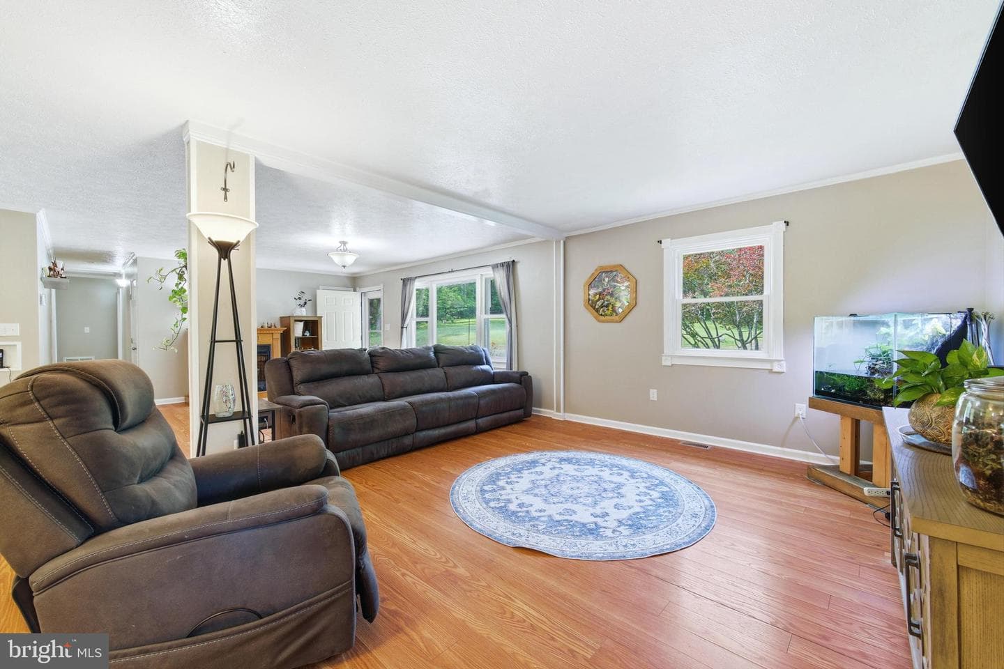 356 White Oak Ln photo 18