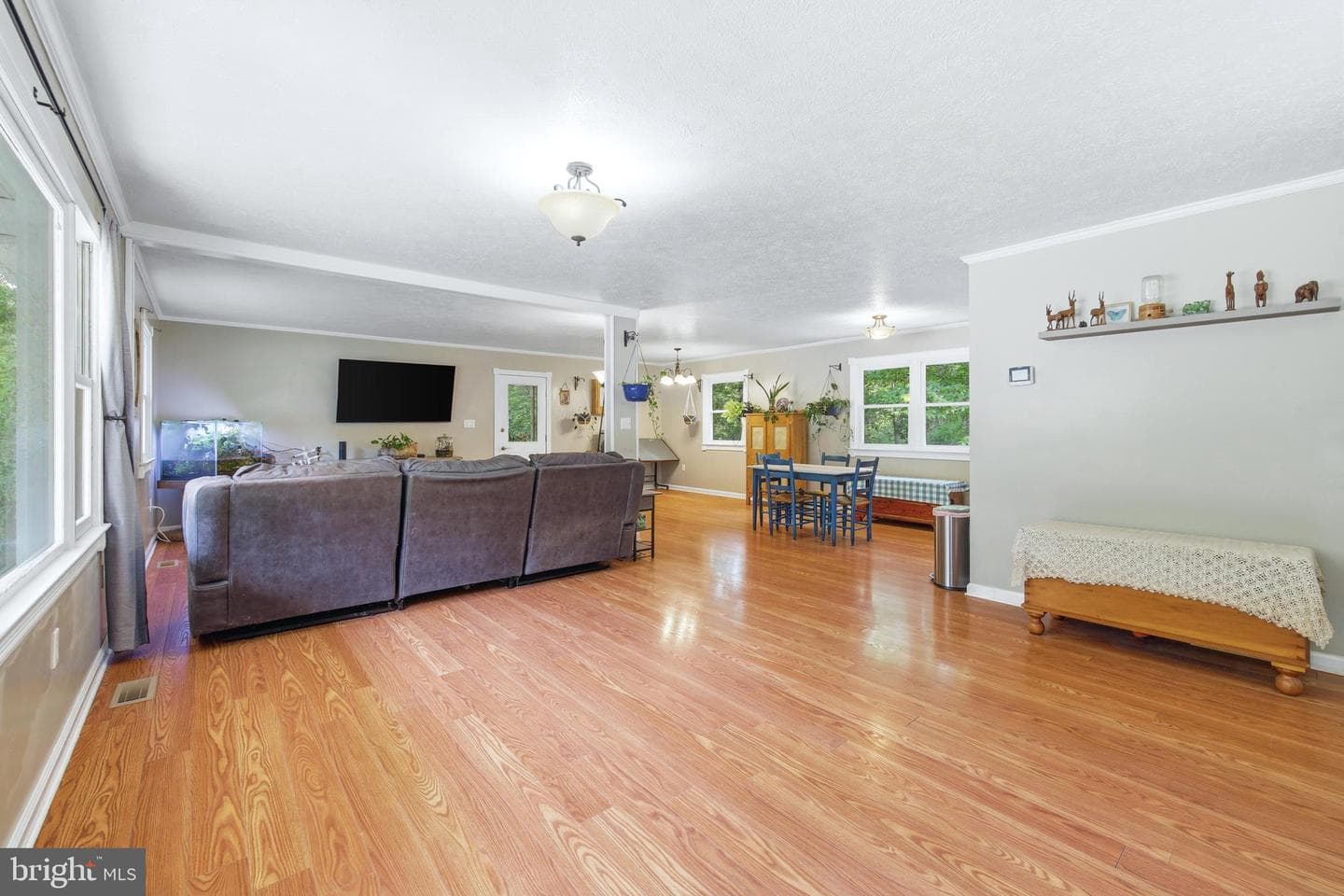 356 White Oak Ln photo 20