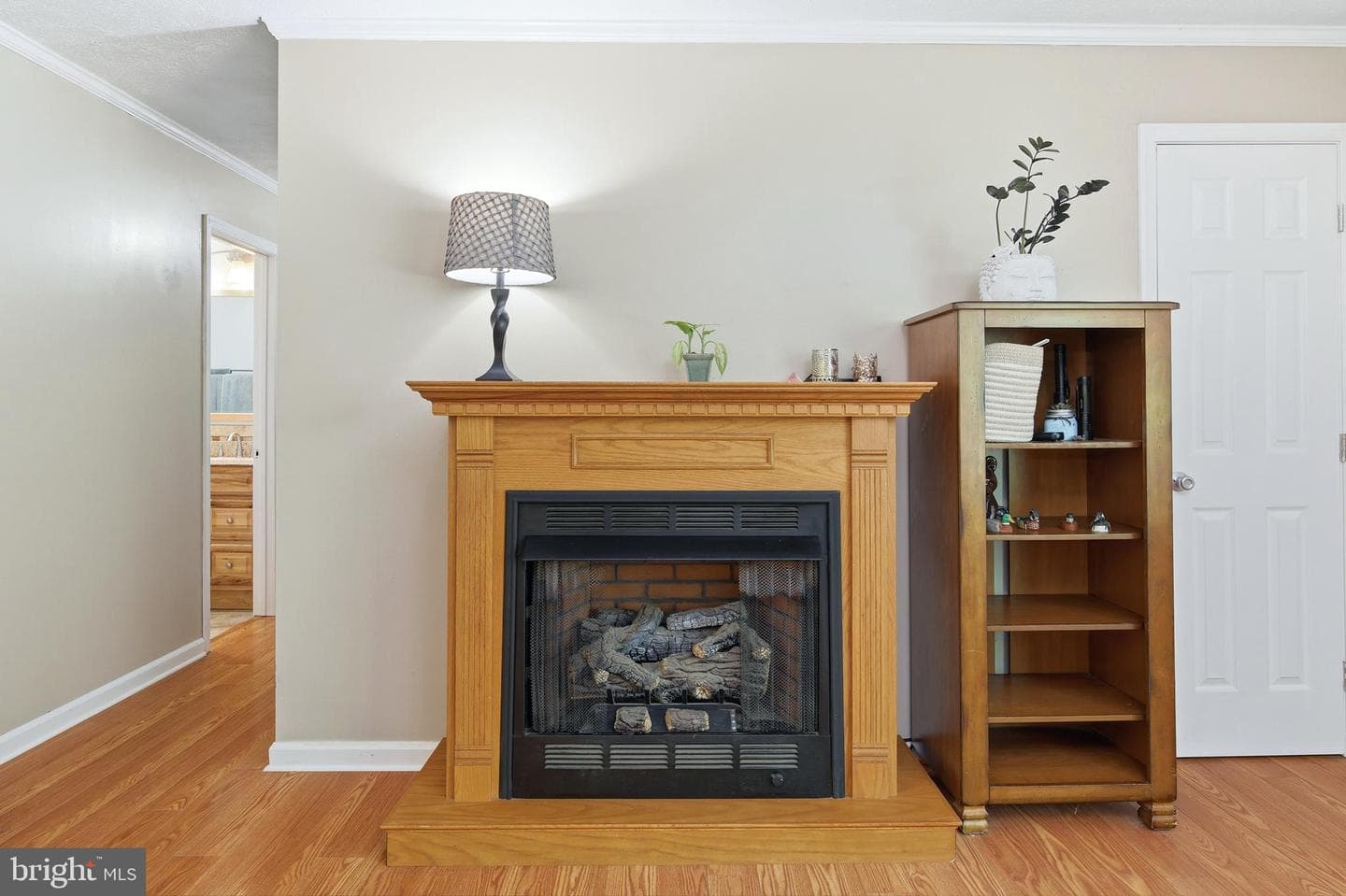 356 White Oak Ln photo 21