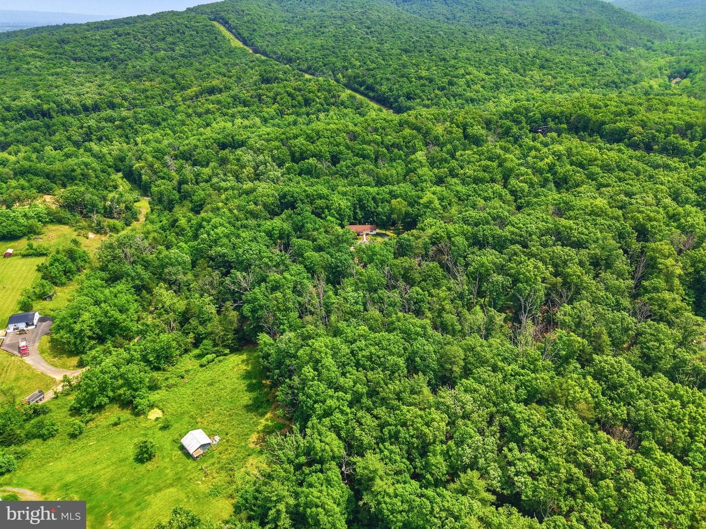 356 White Oak Ln photo 51