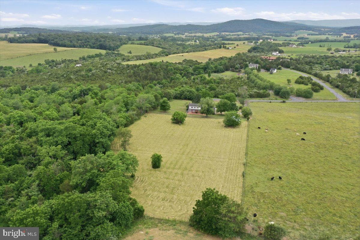 2447 Headquarters Road photo 48