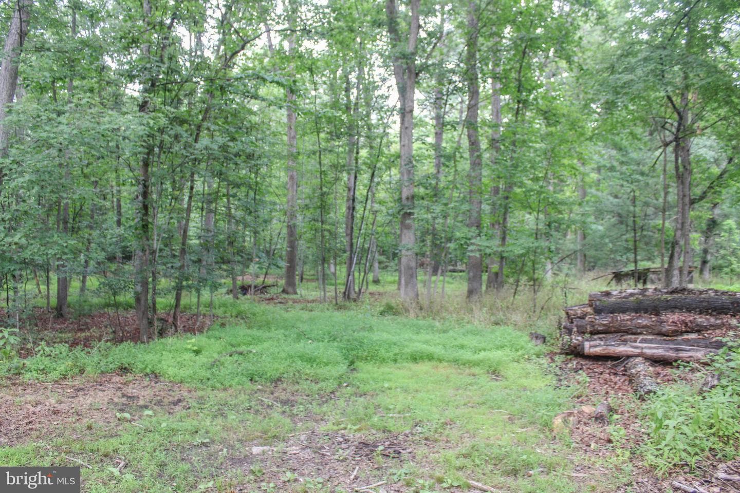 4547 Alum Springs Road photo 47