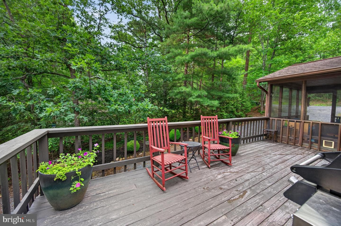 155 Beech photo 14
