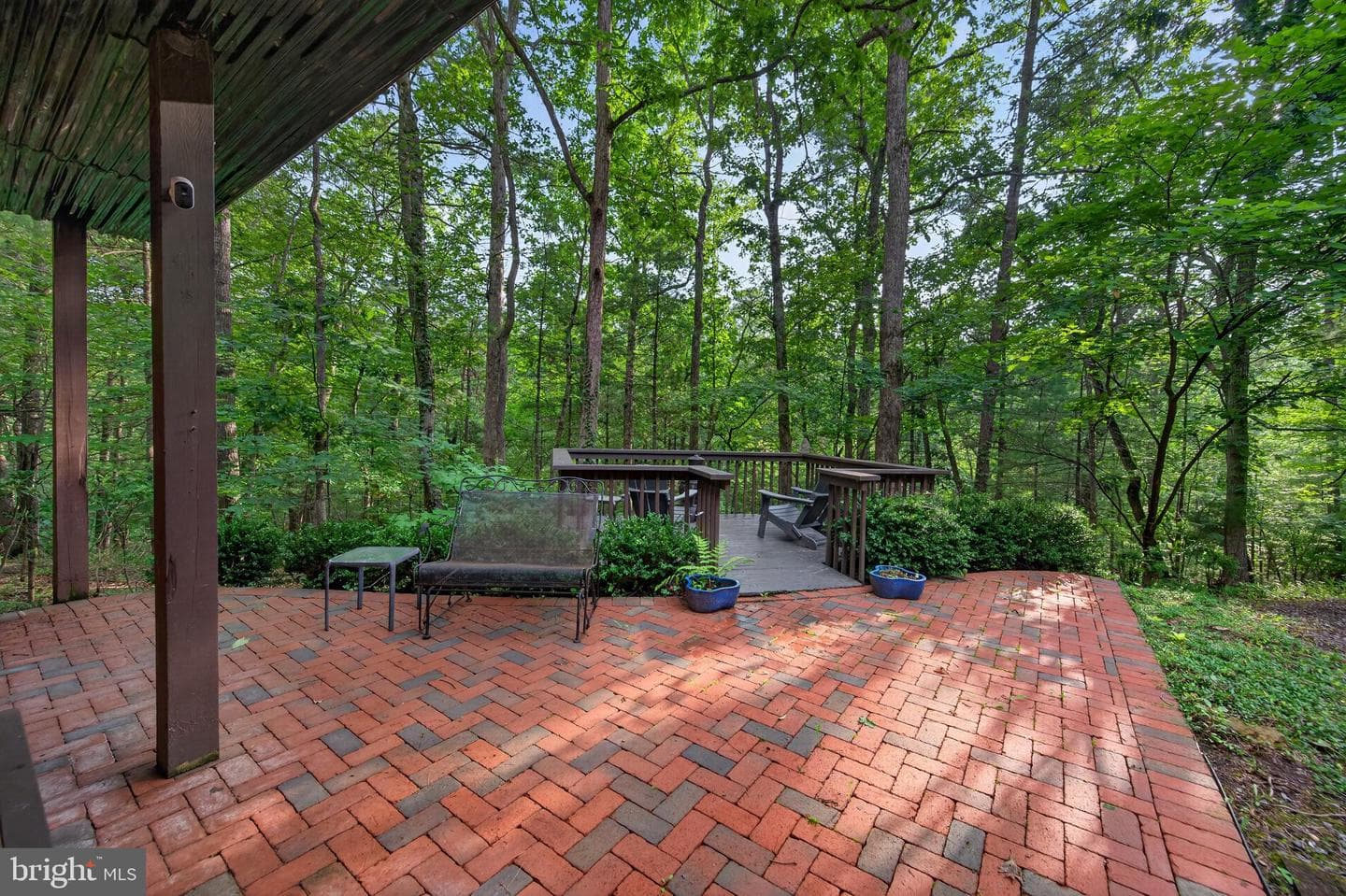 155 Beech photo 51