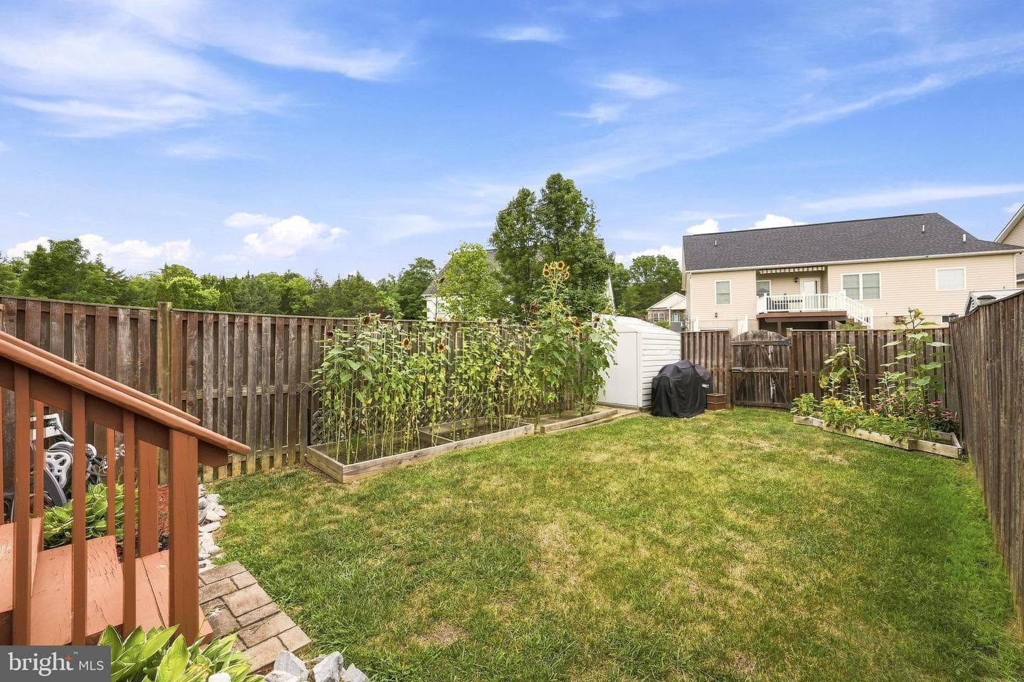 172 Founders Way photo 34