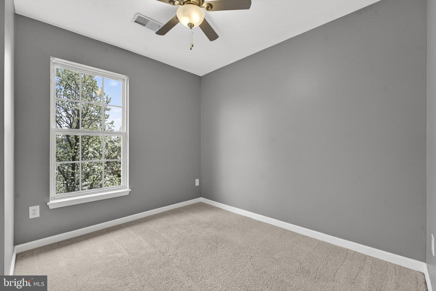 11120 Gander Court photo 34