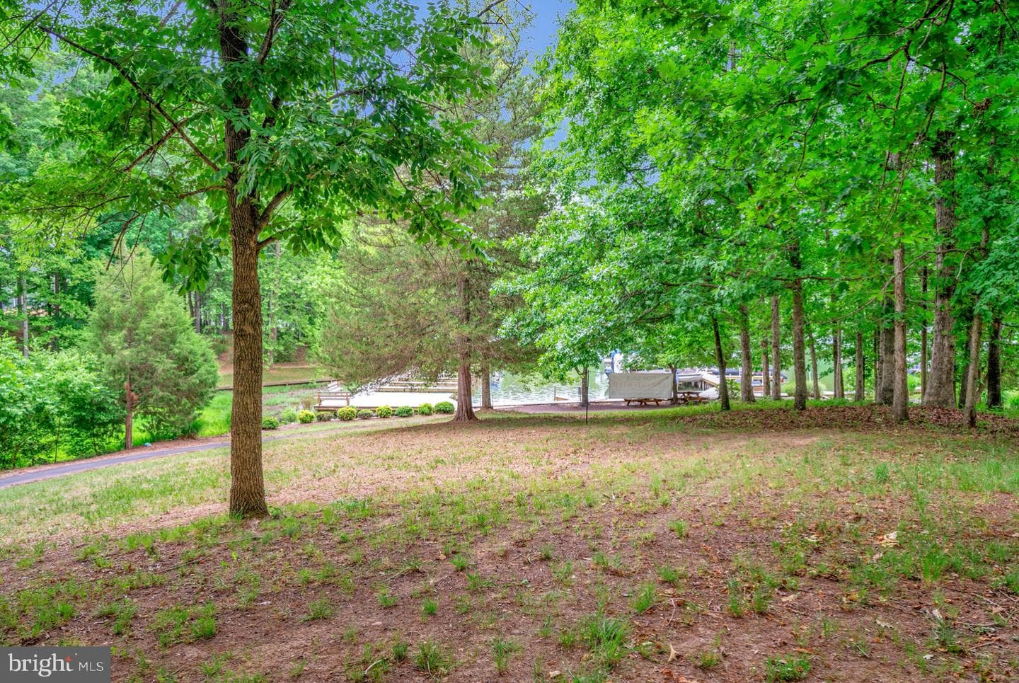 5501 Hickory Tree Lane photo 59