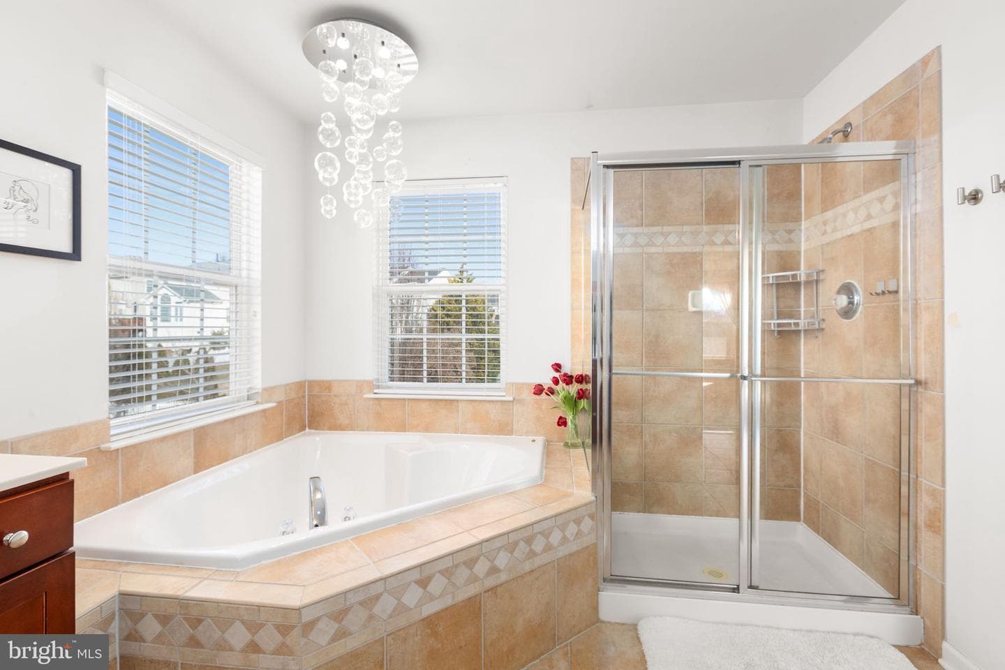 9316 Laurel Oak Drive photo 25