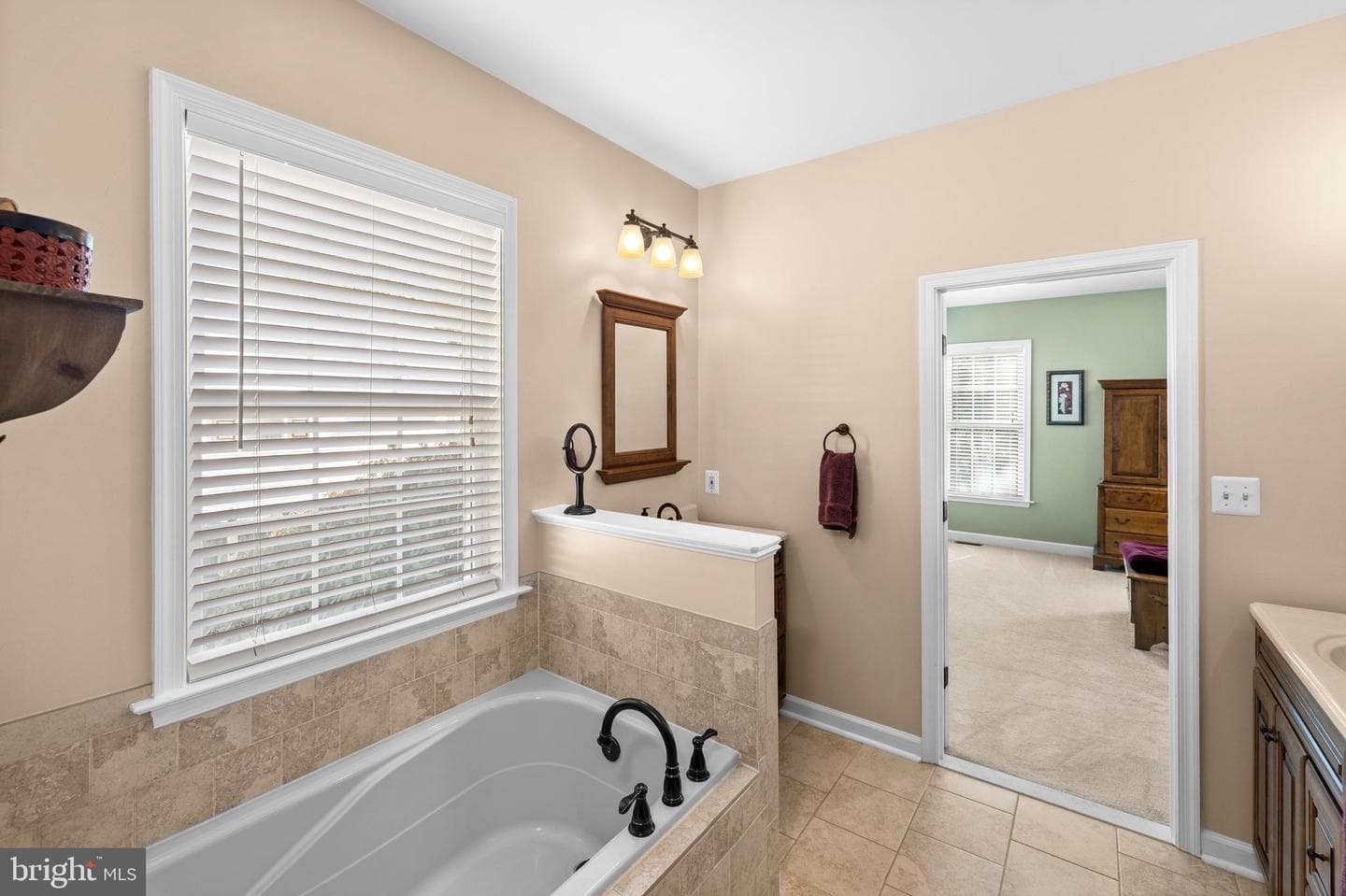 10202 Spring Creek Drive photo 33
