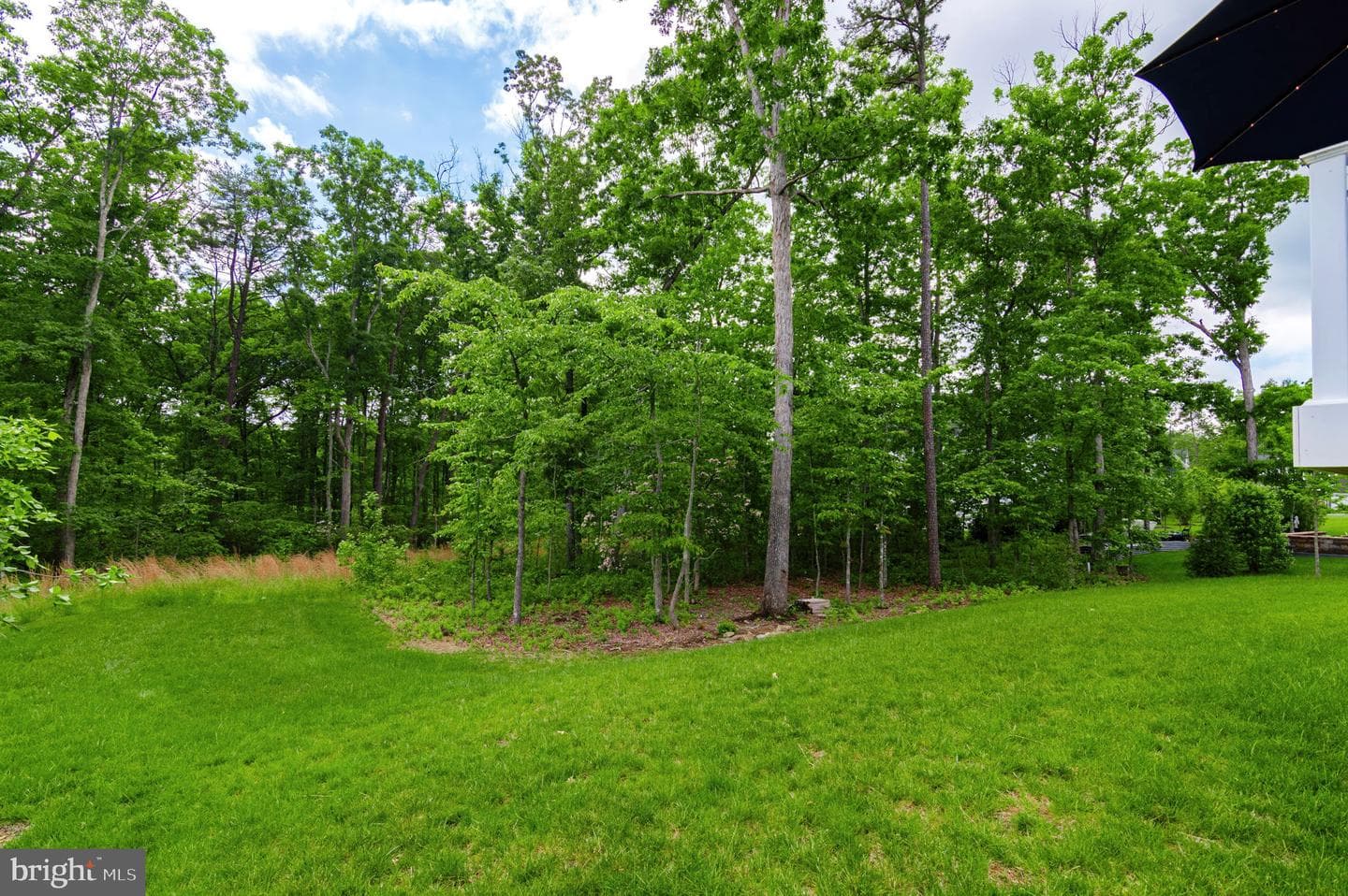 11316 Oakville Lane photo 32