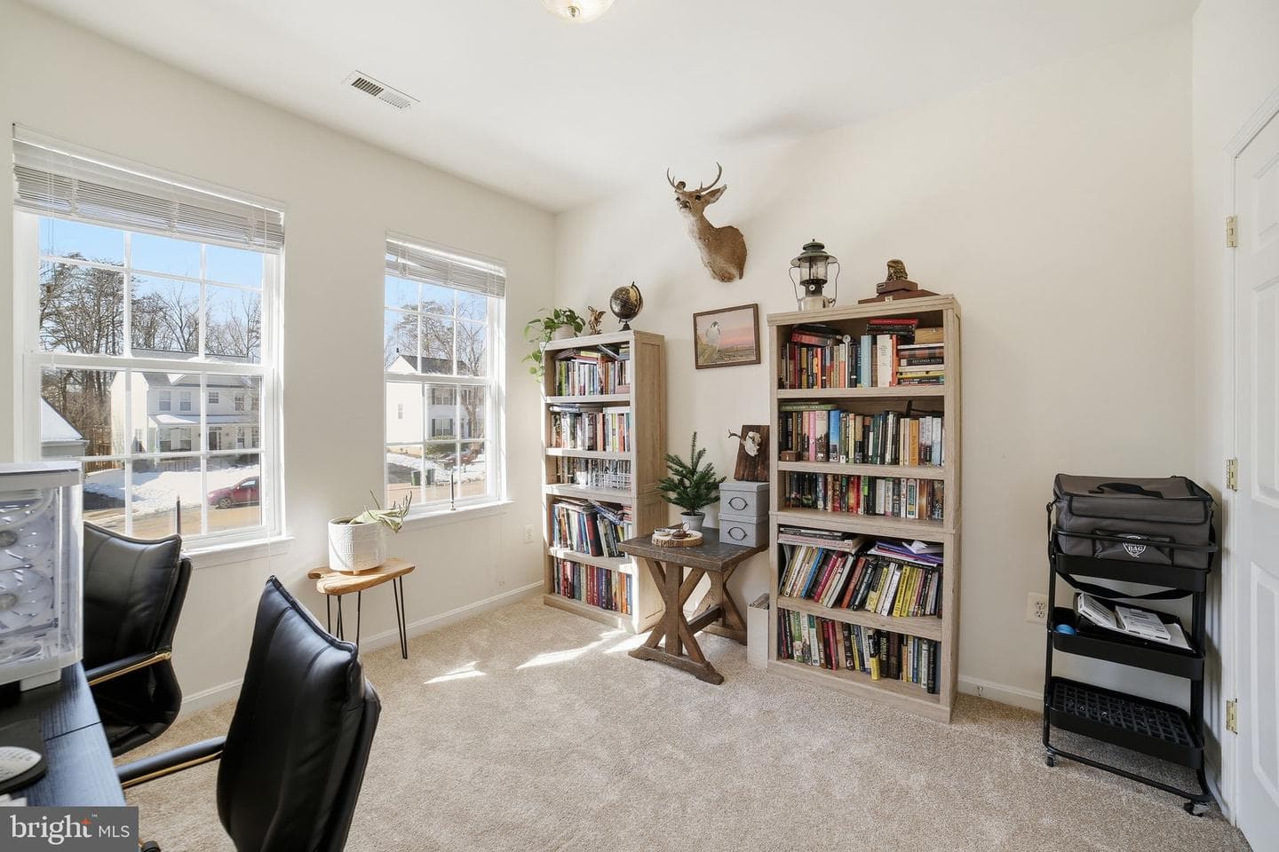11103 Saturn Court photo 19