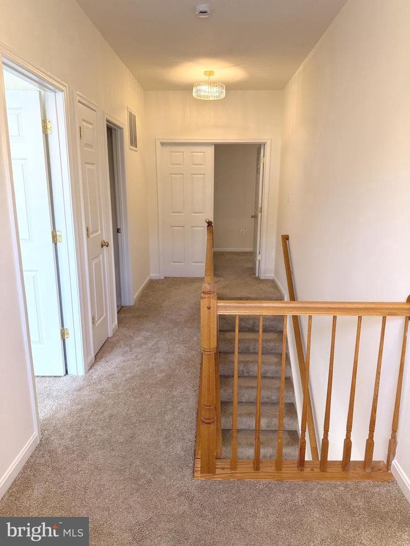 11103 Saturn Court photo 24