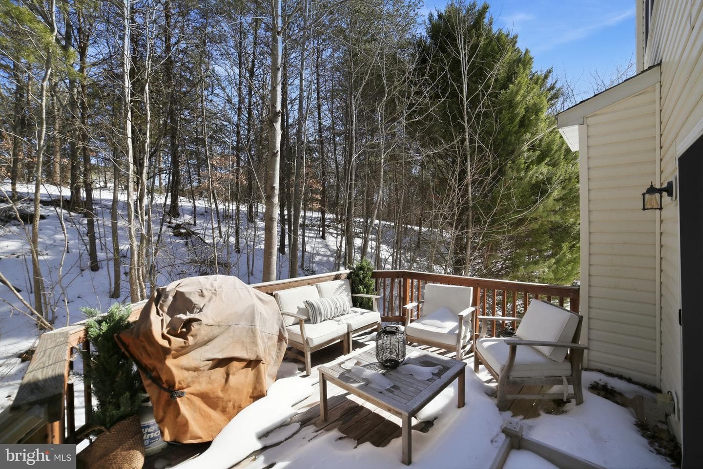11103 Saturn Court photo 51