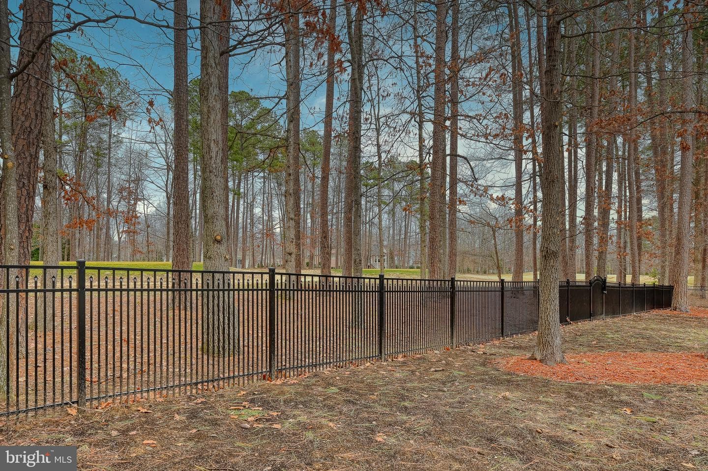 10519 Wildbrooke Court photo 67