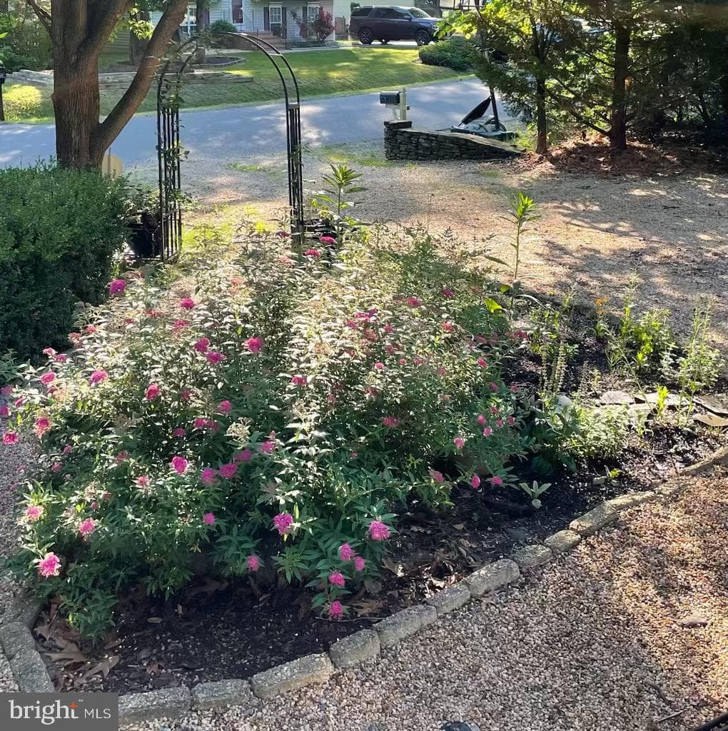 8507 Leslie Court photo 40