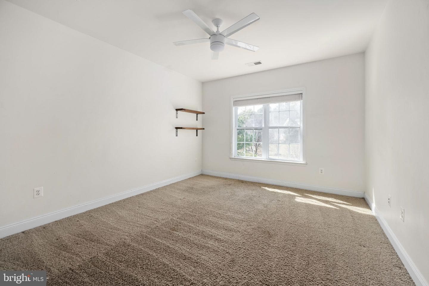 11611 Pine Hollow Lane photo 86