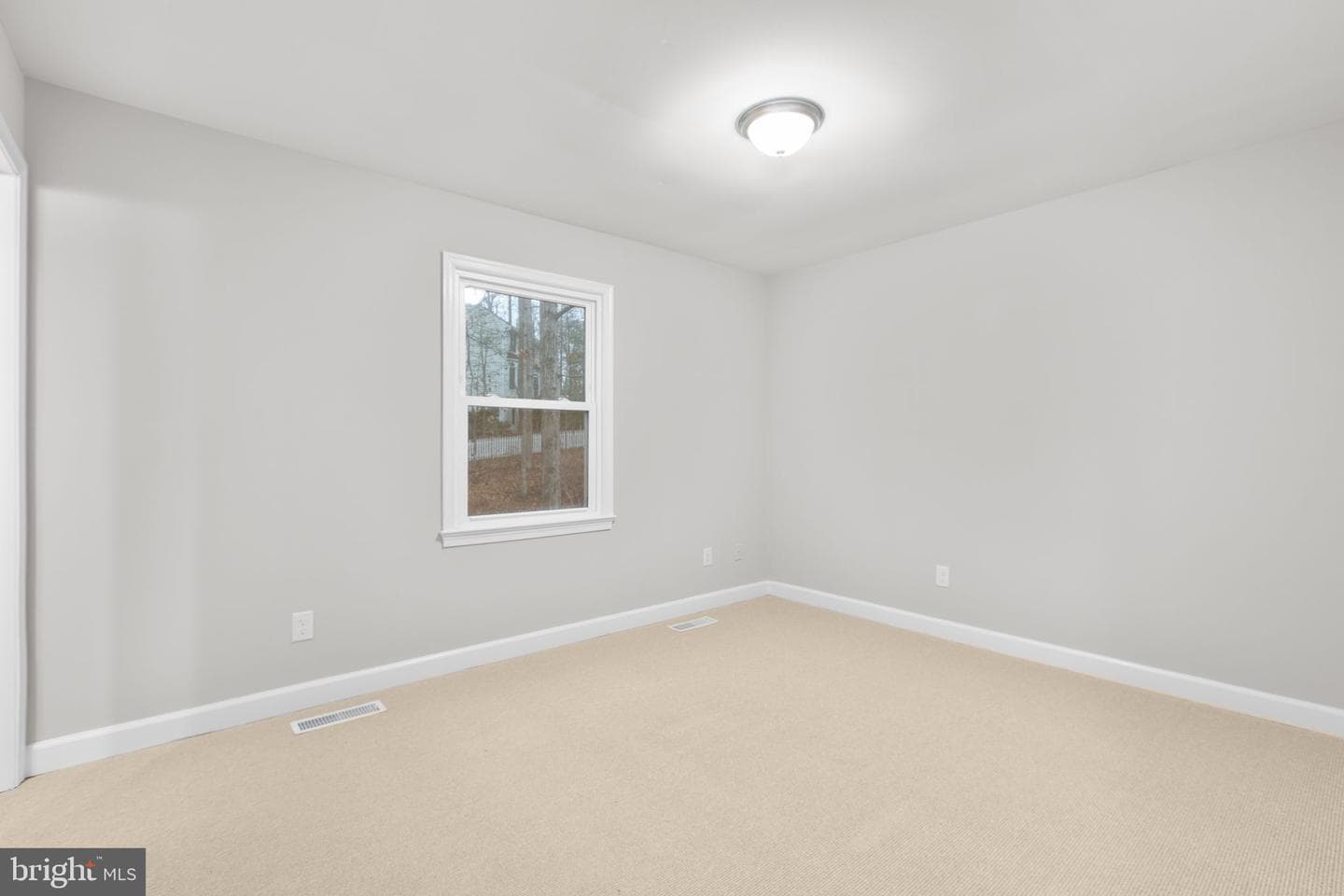 433 Albany Street photo 12