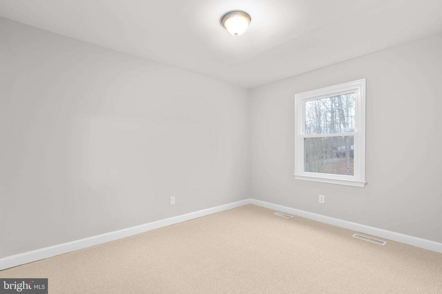 433 Albany Street photo 14
