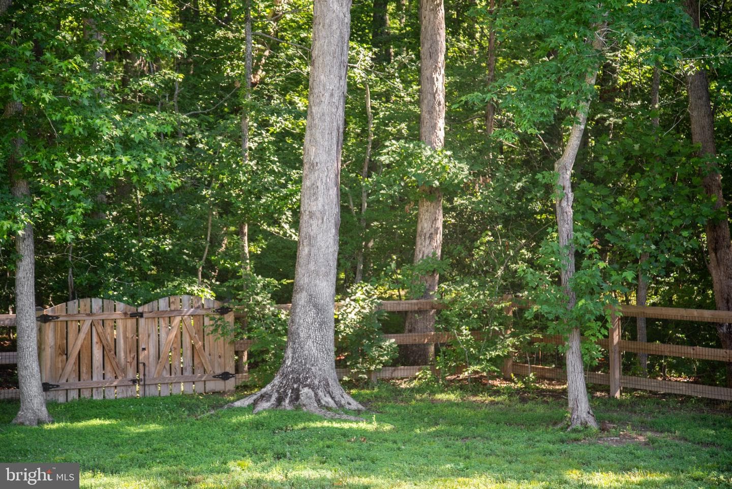 10916 Olive View Drive photo 38