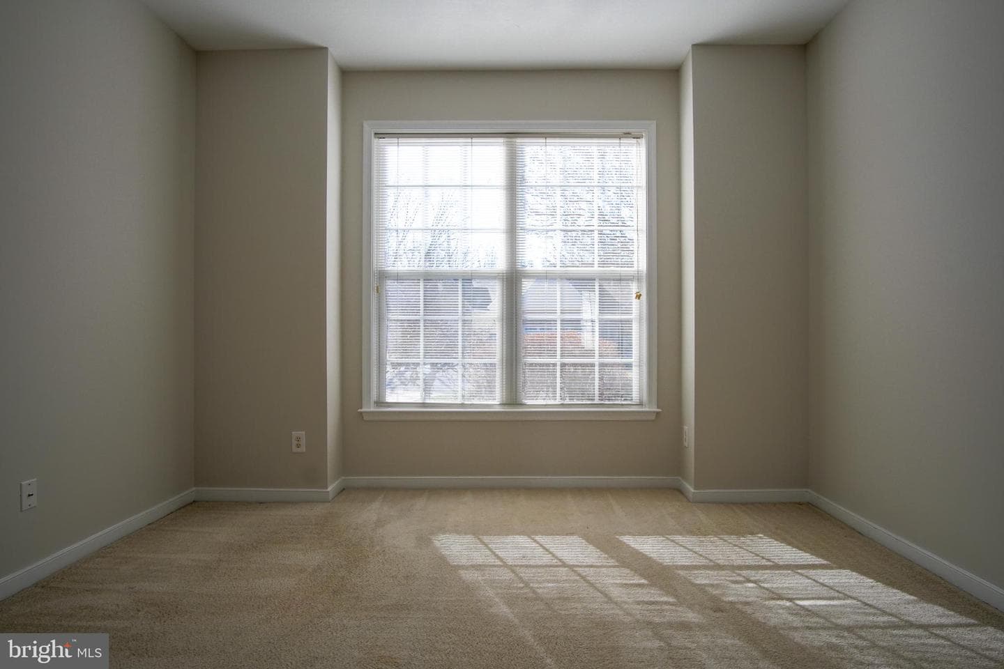 6507 Holly Ridge photo 20