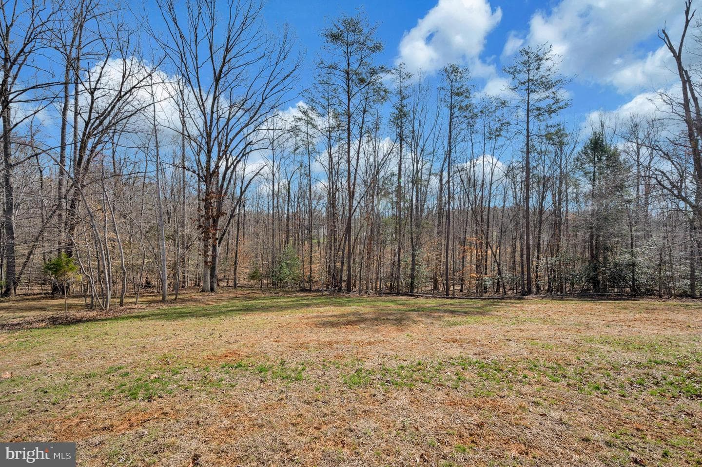 5509 Bazzanella Drive photo 42
